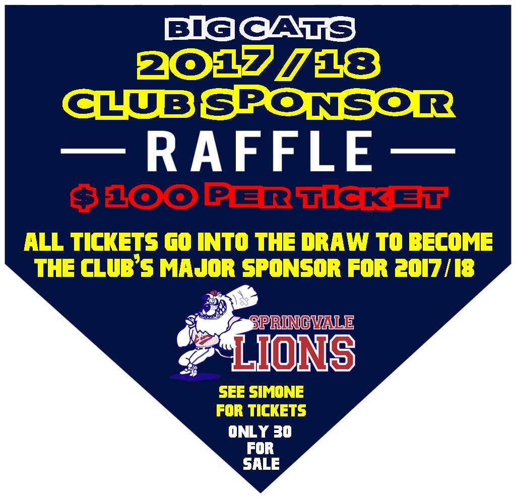 Big Cats Club Sponsor Raffle